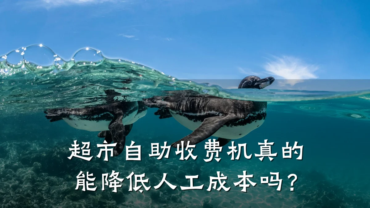 超市自助收费机真的能降低人工成本吗？