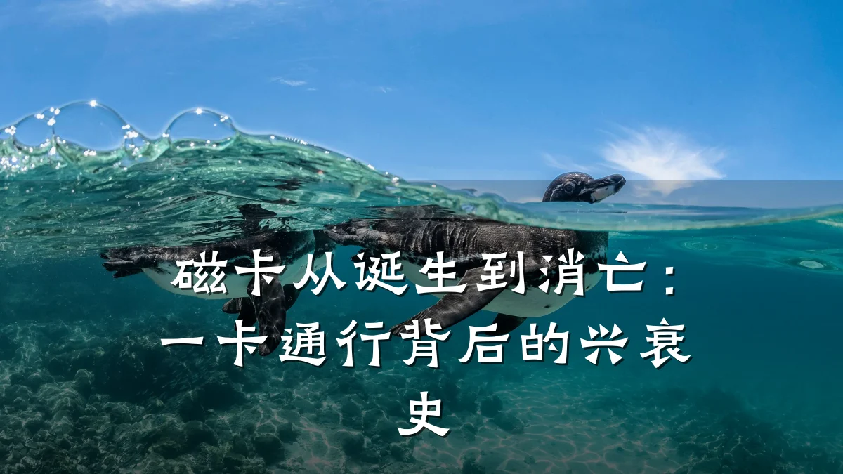 磁卡从诞生到消亡:一卡通行背后的兴衰史
