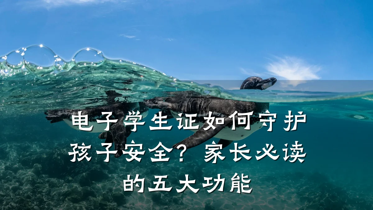 电子学生证如何守护孩子安全?家长必读的五大功能