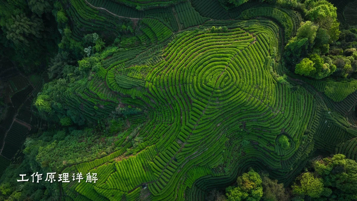 工作原理详解