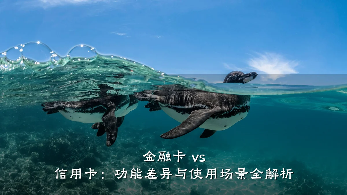 金融卡 vs 信用卡:功能差异与使用场景全解析