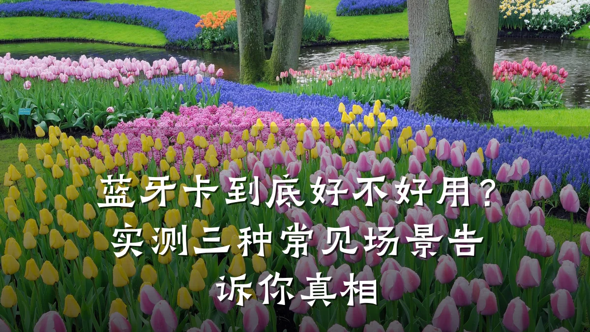 蓝牙卡到底好不好用?实测三种常见场景告诉你真相