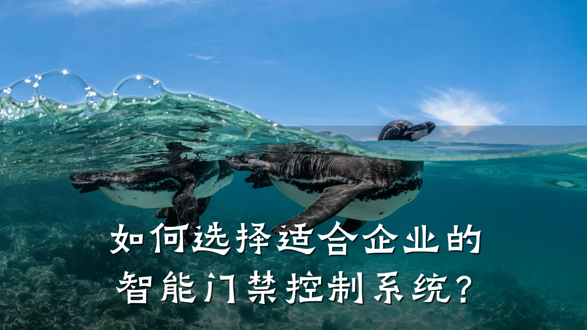 如何选择适合企业的智能门禁控制系统?