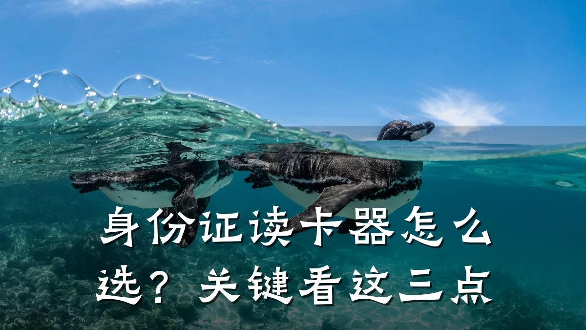 身份证读卡器怎么选?关键看这三点