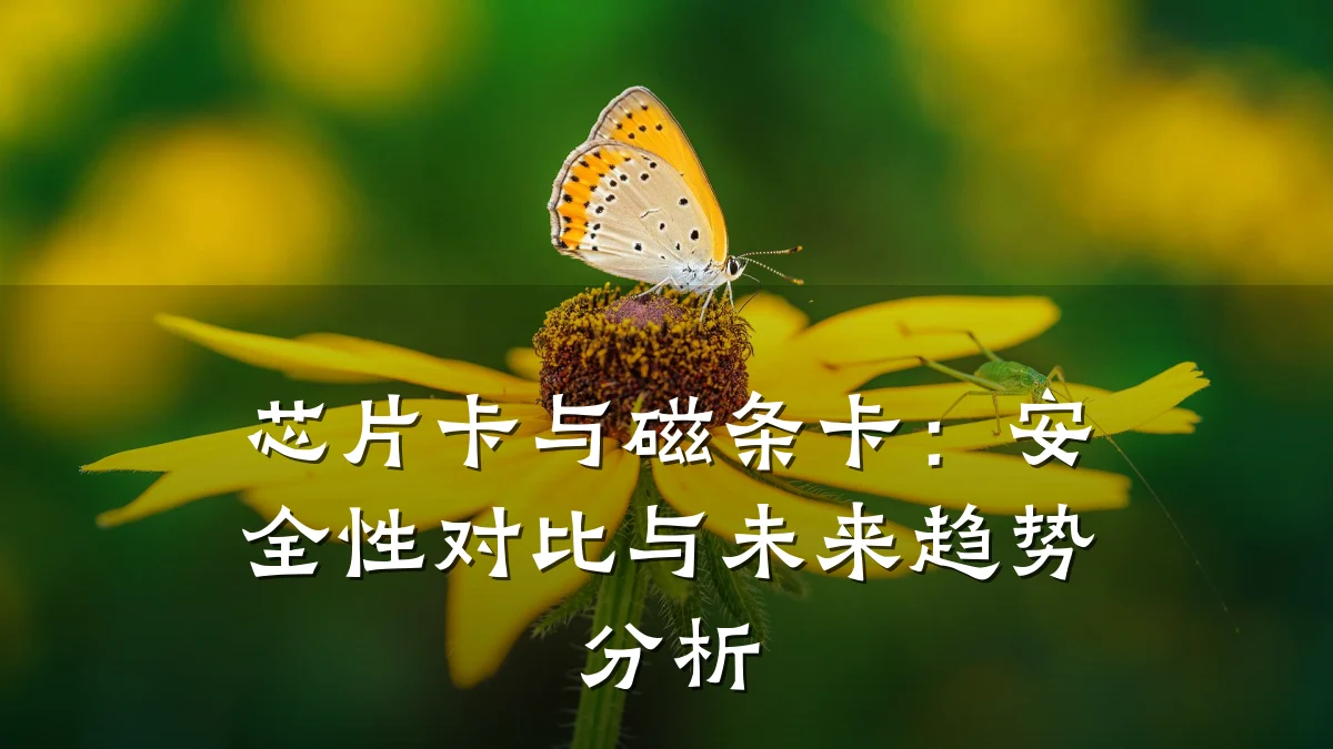 芯片卡与磁条卡：安全性对比与未来趋势分析