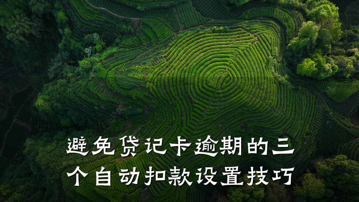 避免贷记卡逾期的三个自动扣款设置技巧