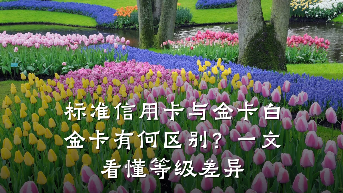 标准信用卡与金卡白金卡有何区别?一文看懂等级差异