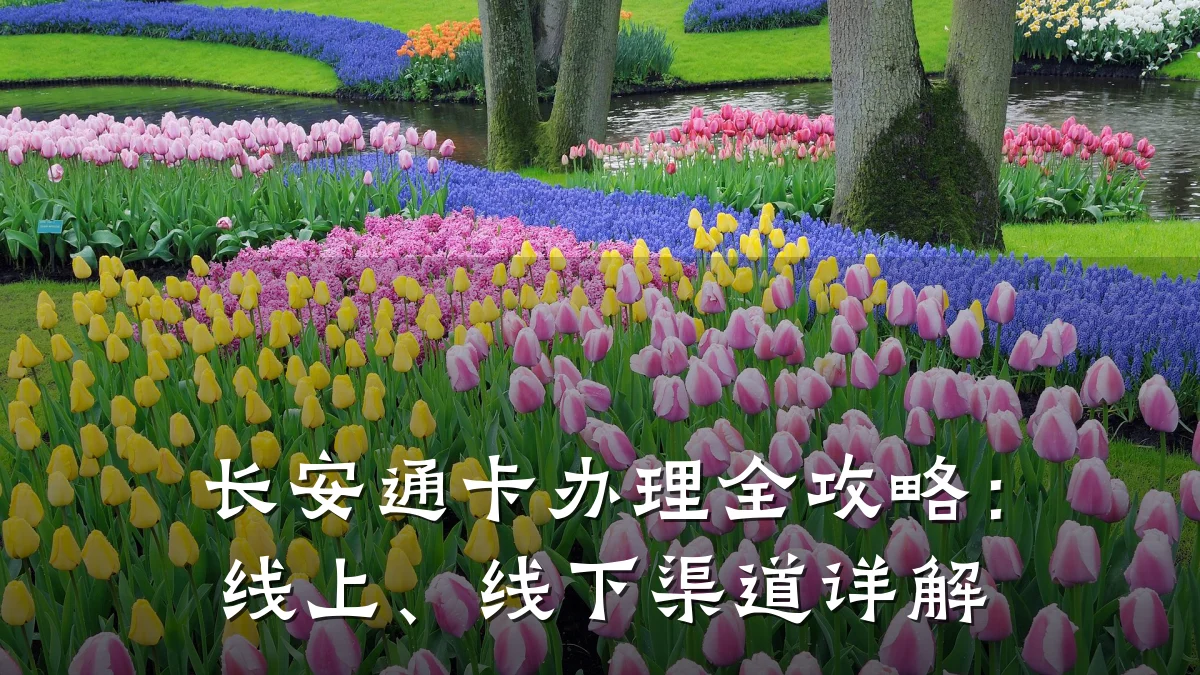 长安通卡办理全攻略:线上、线下渠道详解
