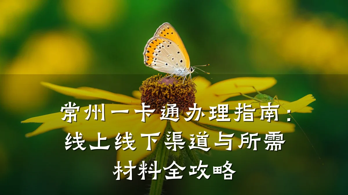 常州一卡通办理指南:线上线下渠道与所需材料全攻略