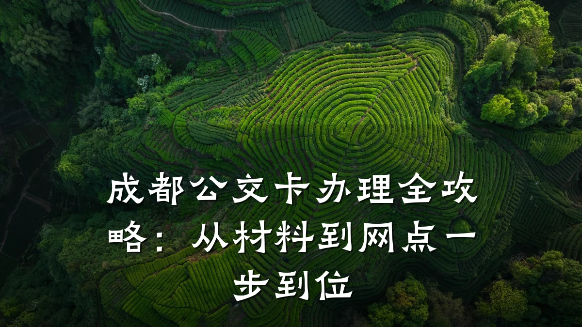 成都公交卡办理全攻略:从材料到网点一步到位
