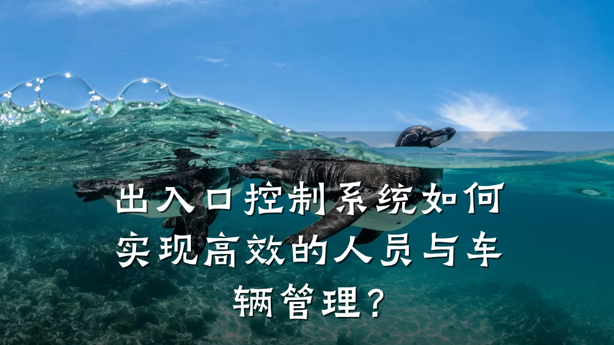 出入口控制系统如何实现高效的人员与车辆管理?