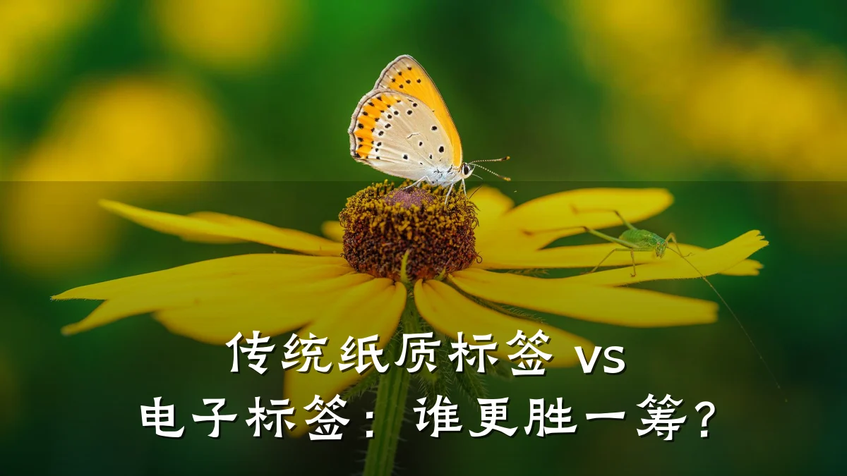 传统纸质标签 vs 电子标签:谁更胜一筹?