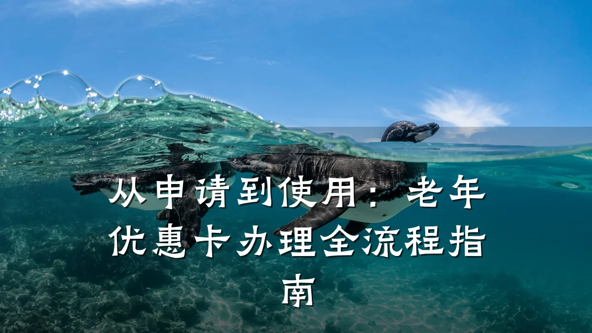 从申请到使用：老年优惠卡办理全流程指南