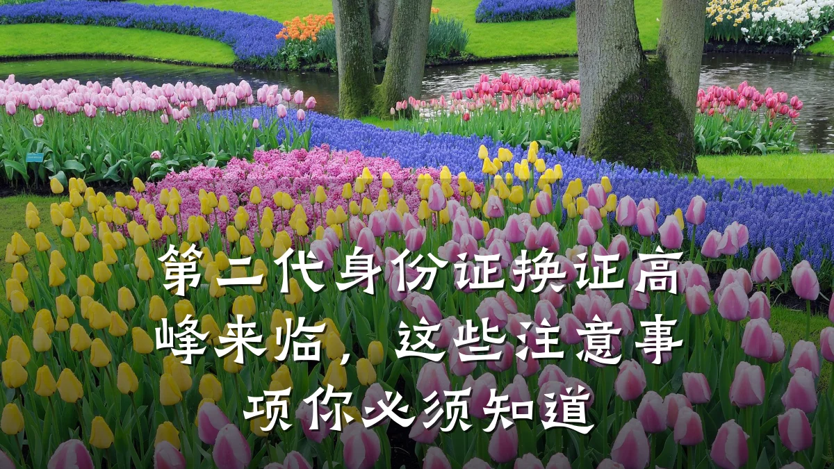 第二代身份证换证高峰来临,这些注意事项你必须知道
