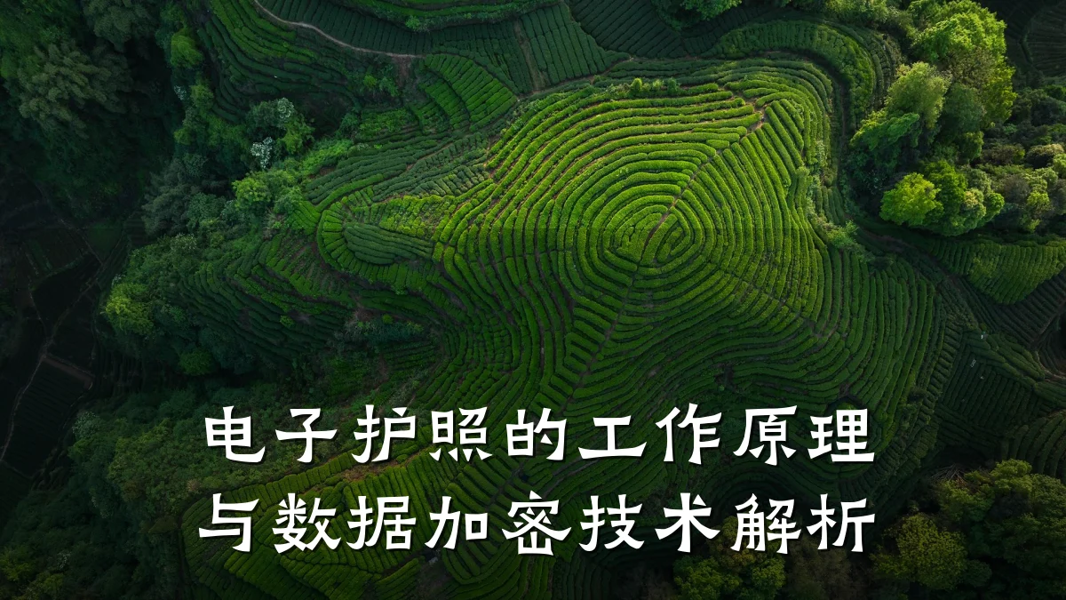 电子护照的工作原理与数据加密技术解析
