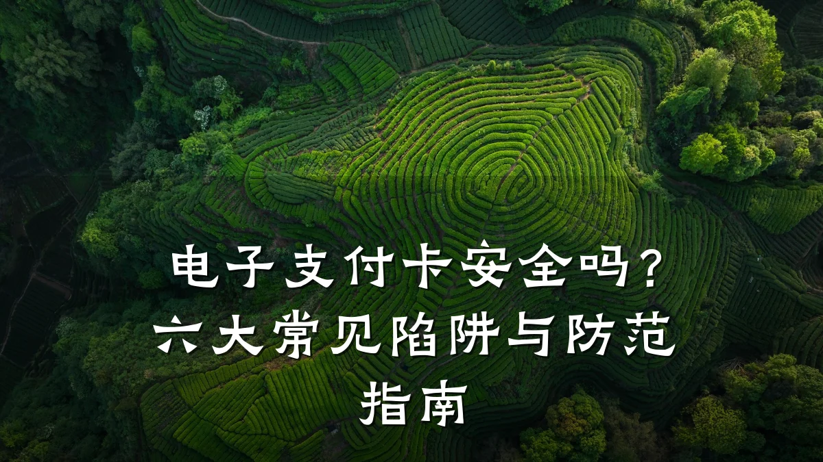 电子支付卡安全吗?六大常见陷阱与防范指南