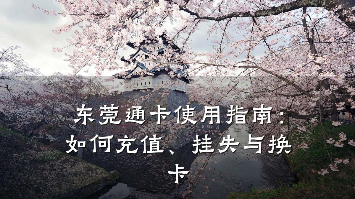 东莞通卡使用指南:如何充值、挂失与换卡