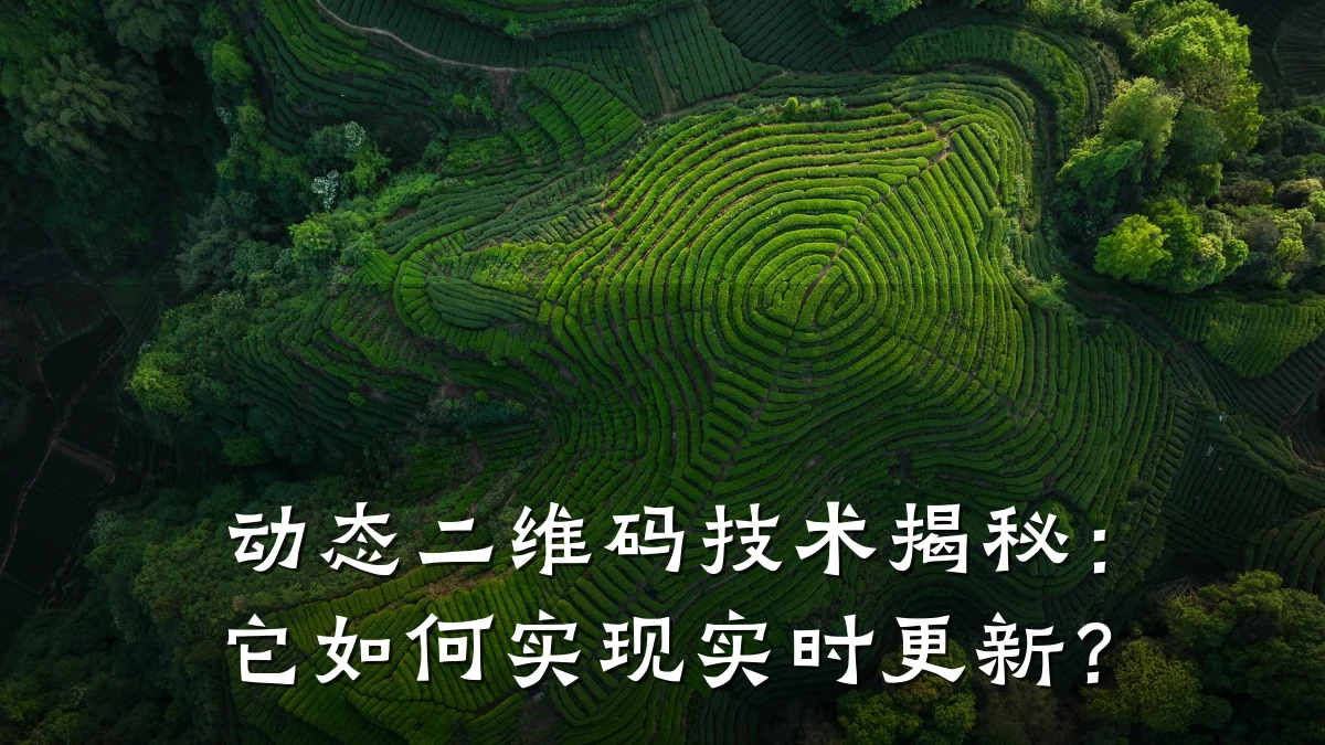 动态二维码技术揭秘:它如何实现实时更新?