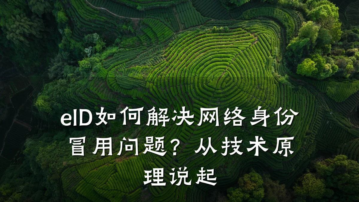 eID如何解决网络身份冒用问题?从技术原理说起