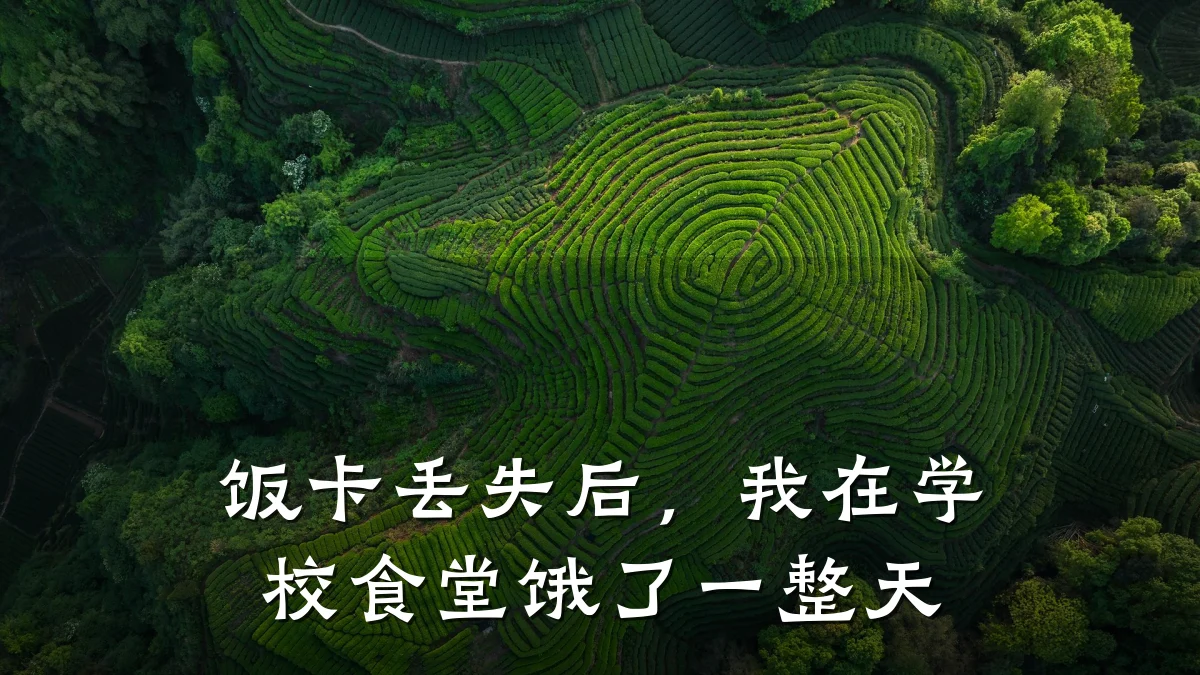 饭卡丢失后，我在学校食堂饿了一整天