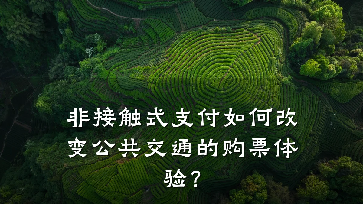 非接触式支付如何改变公共交通的购票体验?
