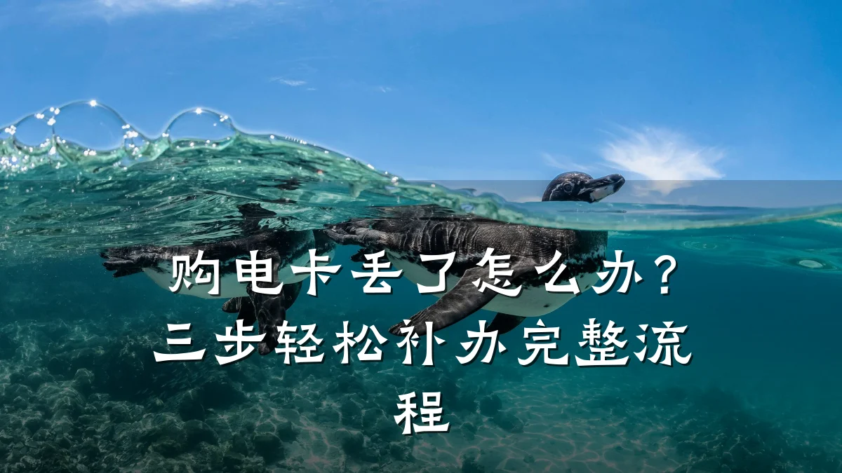 购电卡丢了怎么办?三步轻松补办完整流程
