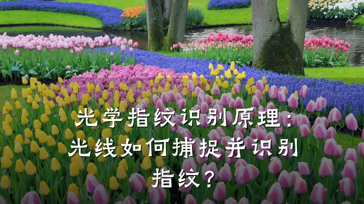 光学指纹识别原理:光线如何捕捉并识别指纹?