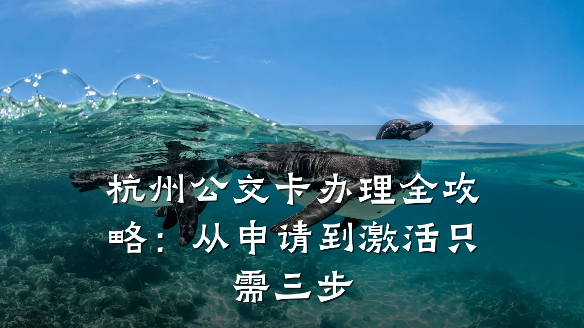 杭州公交卡办理全攻略:从申请到激活只需三步