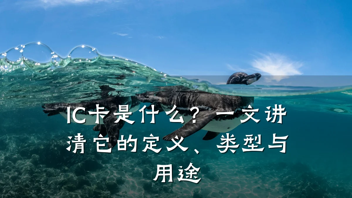 IC卡是什么？一文讲清它的定义、类型与用途