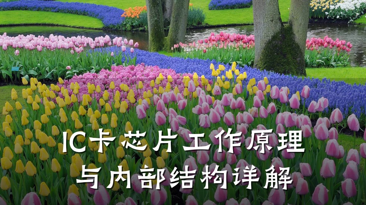 IC卡芯片工作原理与内部结构详解