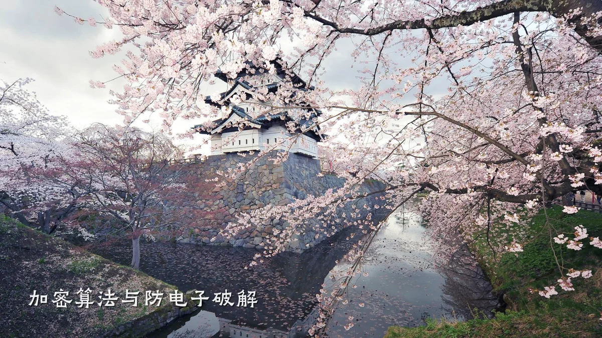 加密算法与防电子破解