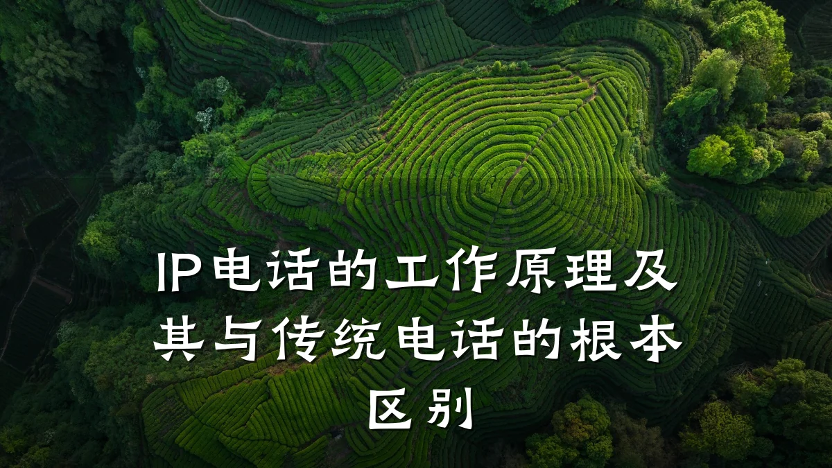 IP电话的工作原理及其与传统电话的根本区别