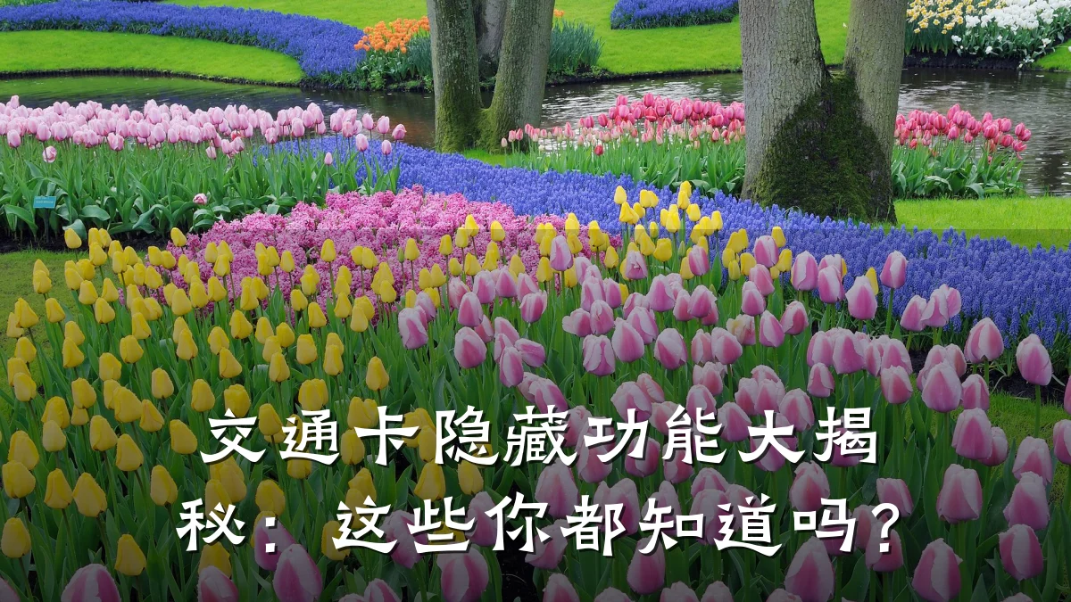 交通卡隐藏功能大揭秘：这些你都知道吗？