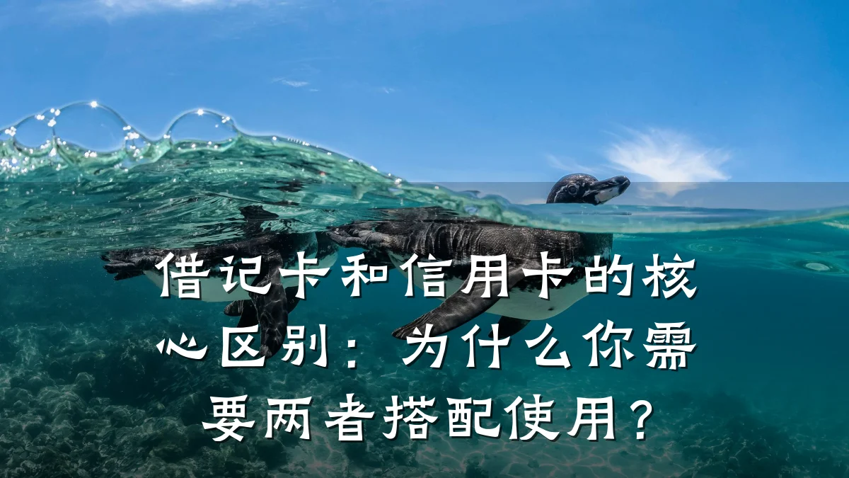 借记卡和信用卡的核心区别:为什么你需要两者搭配使用?
