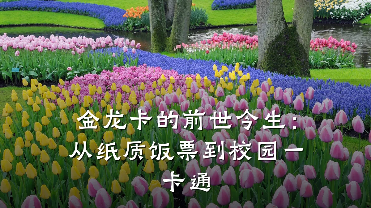 金龙卡的前世今生:从纸质饭票到校园一卡通