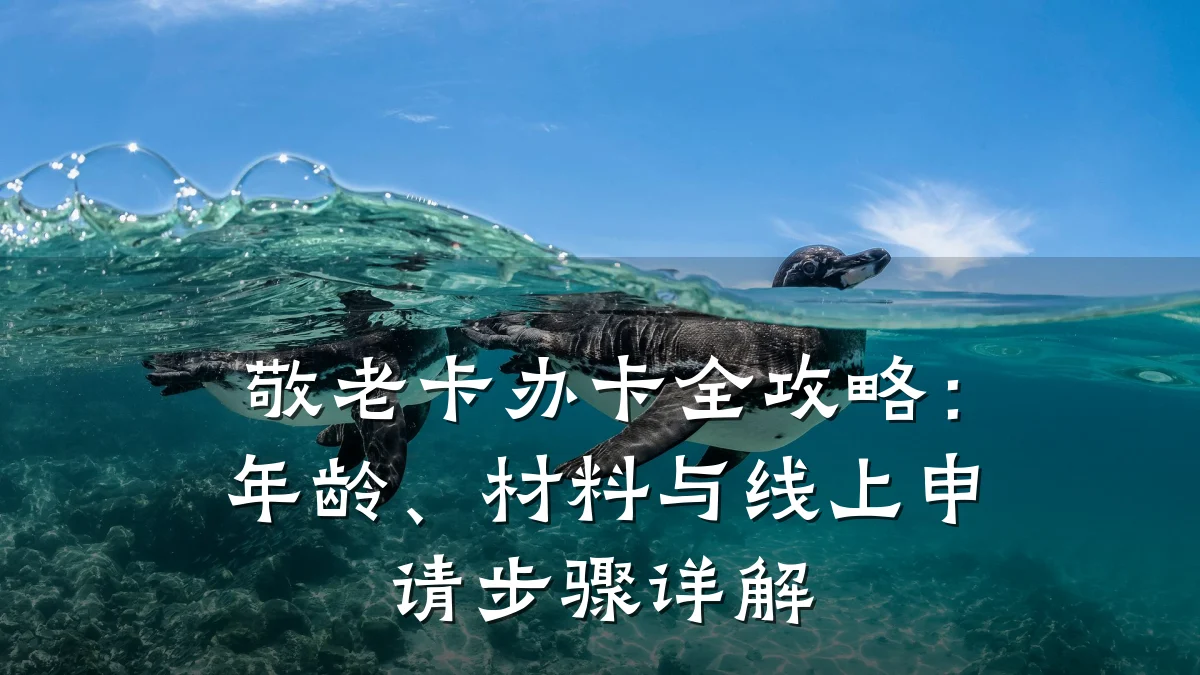 敬老卡办卡全攻略:年龄、材料与线上申请步骤详解