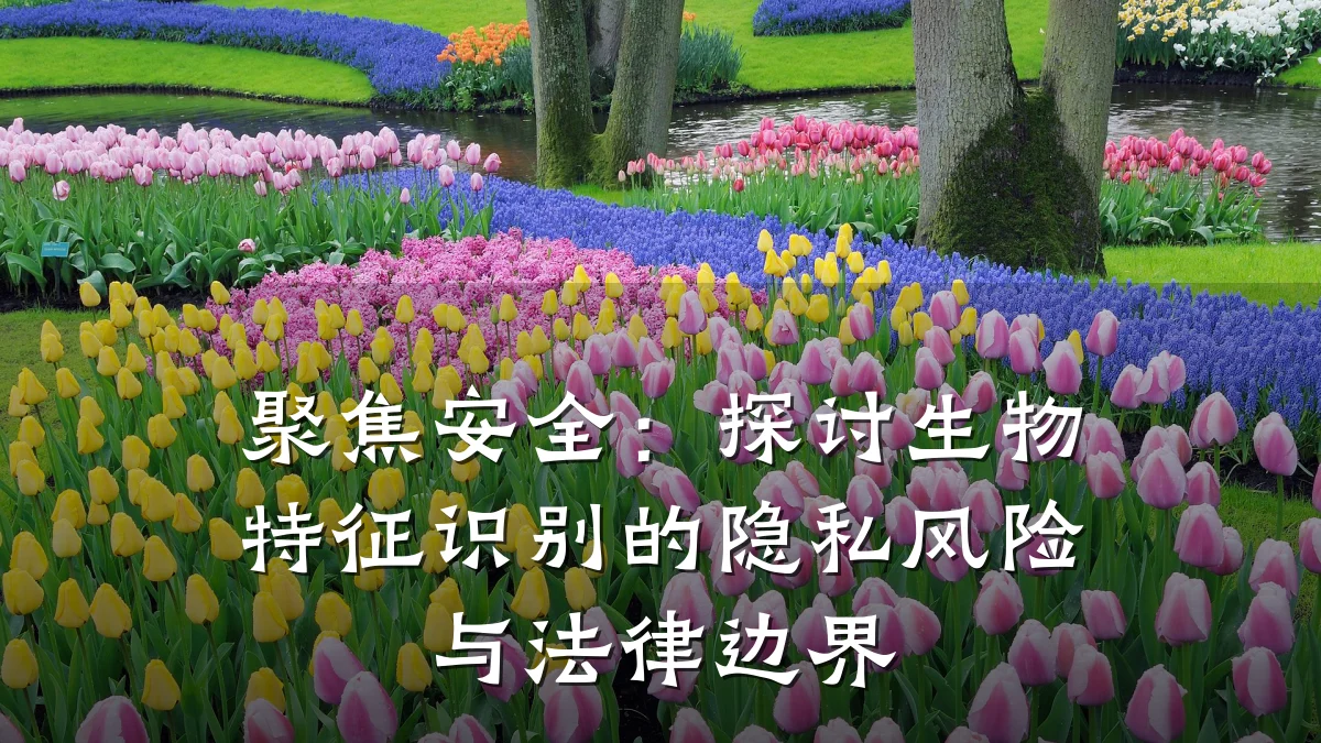 聚焦安全:探讨生物特征识别的隐私风险与法律边界