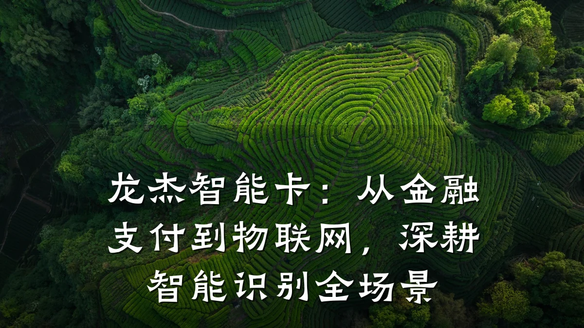 龙杰智能卡:从金融支付到物联网,深耕智能识别全场景
