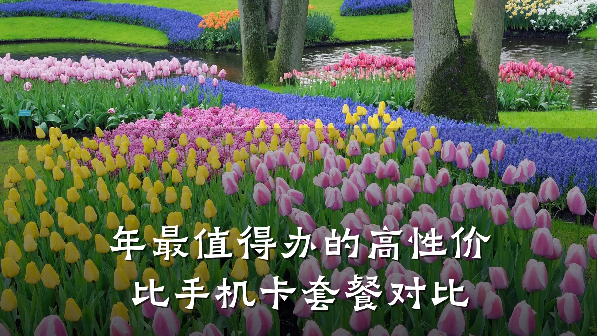 年最值得办的高性价比手机卡套餐对比