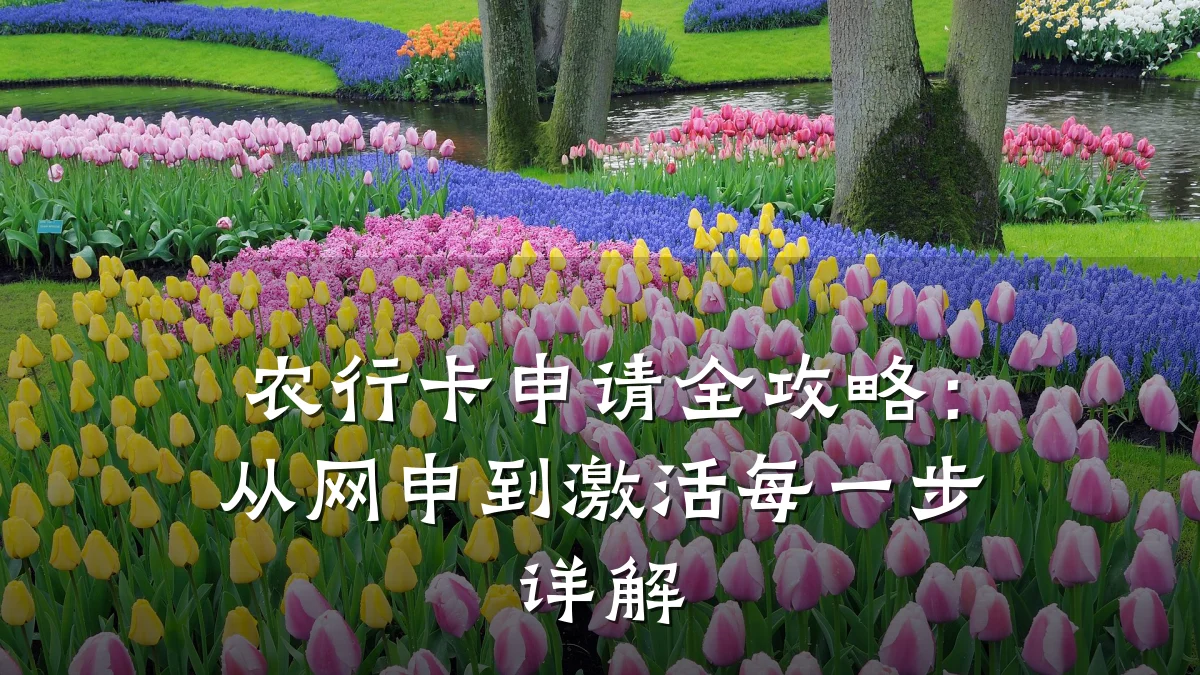 农行卡申请全攻略:从网申到激活每一步详解