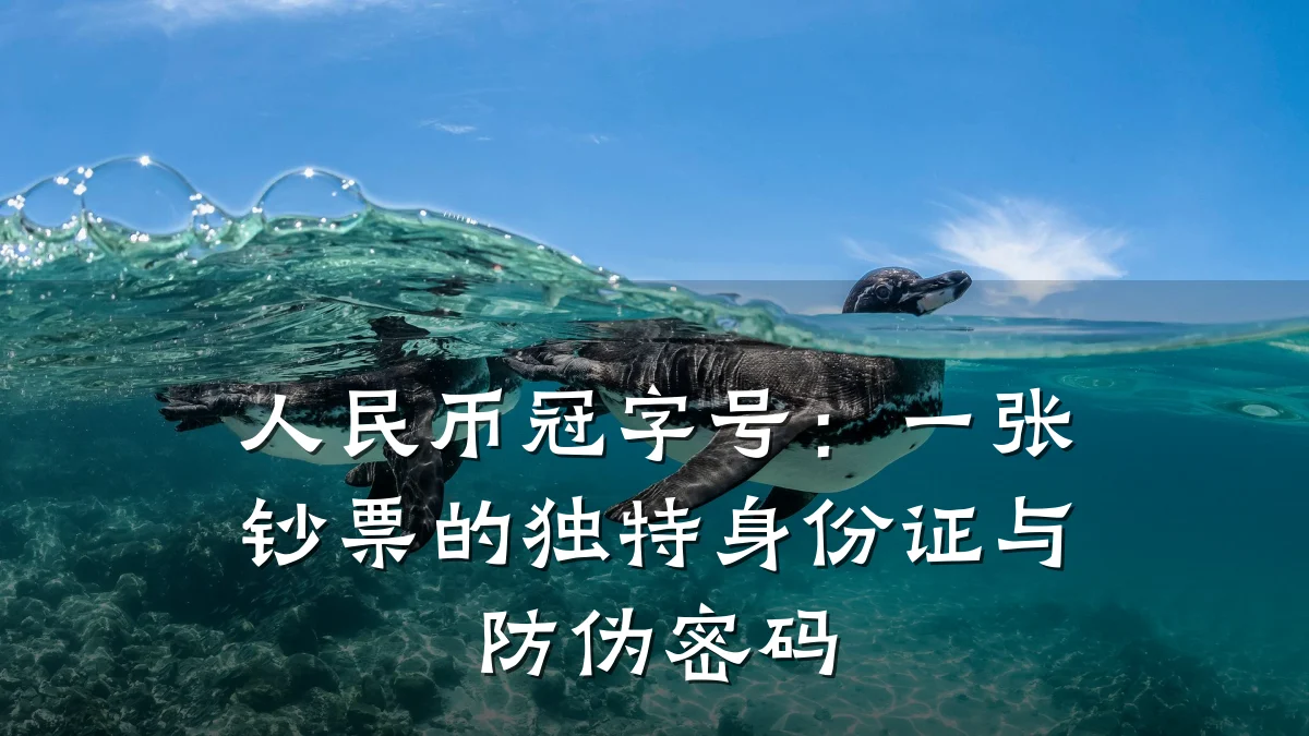 人民币冠字号:一张钞票的独特身份证与防伪密码