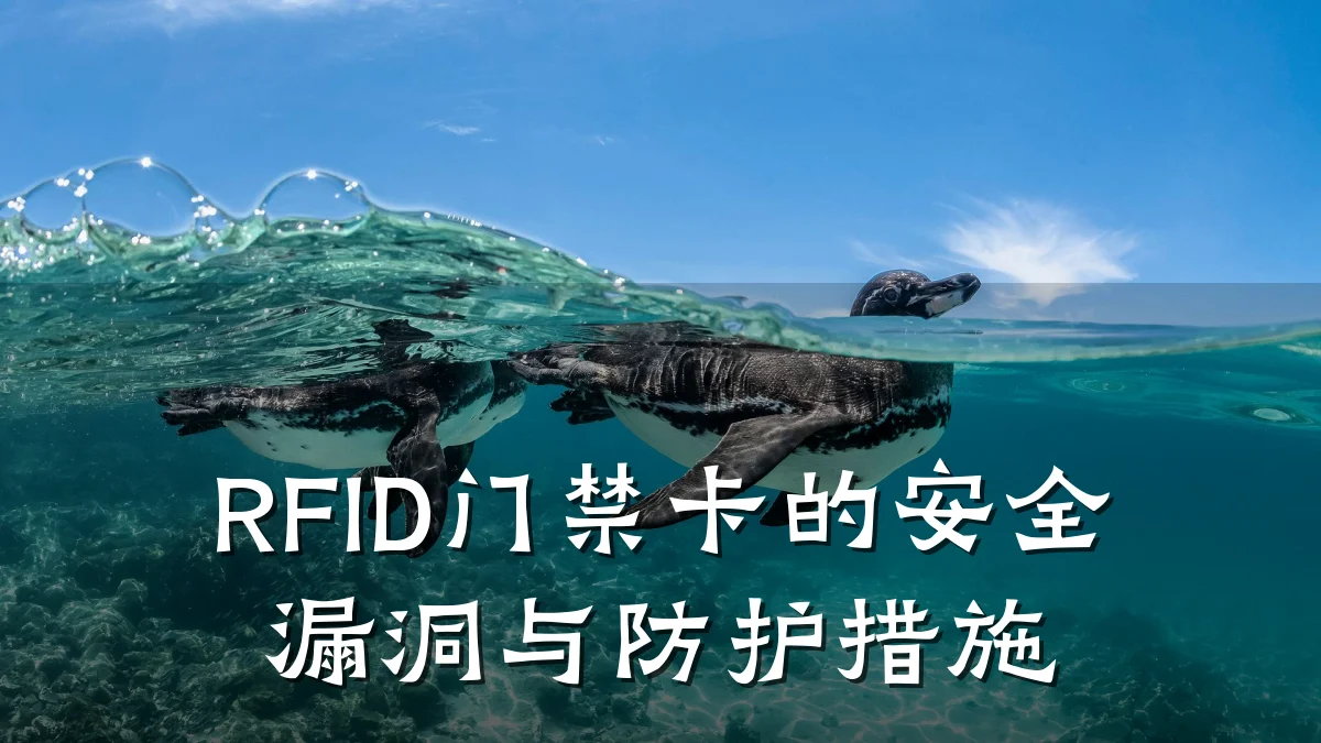 RFID门禁卡的安全漏洞与防护措施