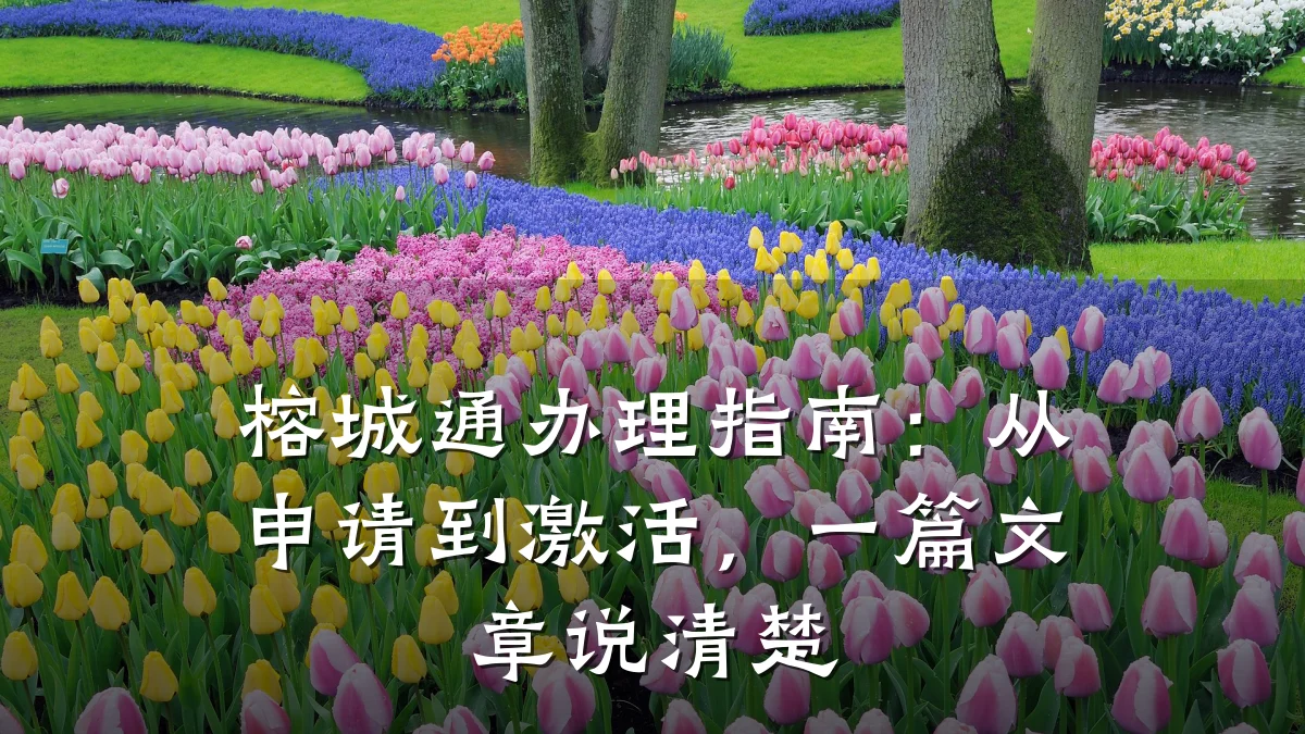 榕城通办理指南:从申请到激活,一篇文章说清楚
