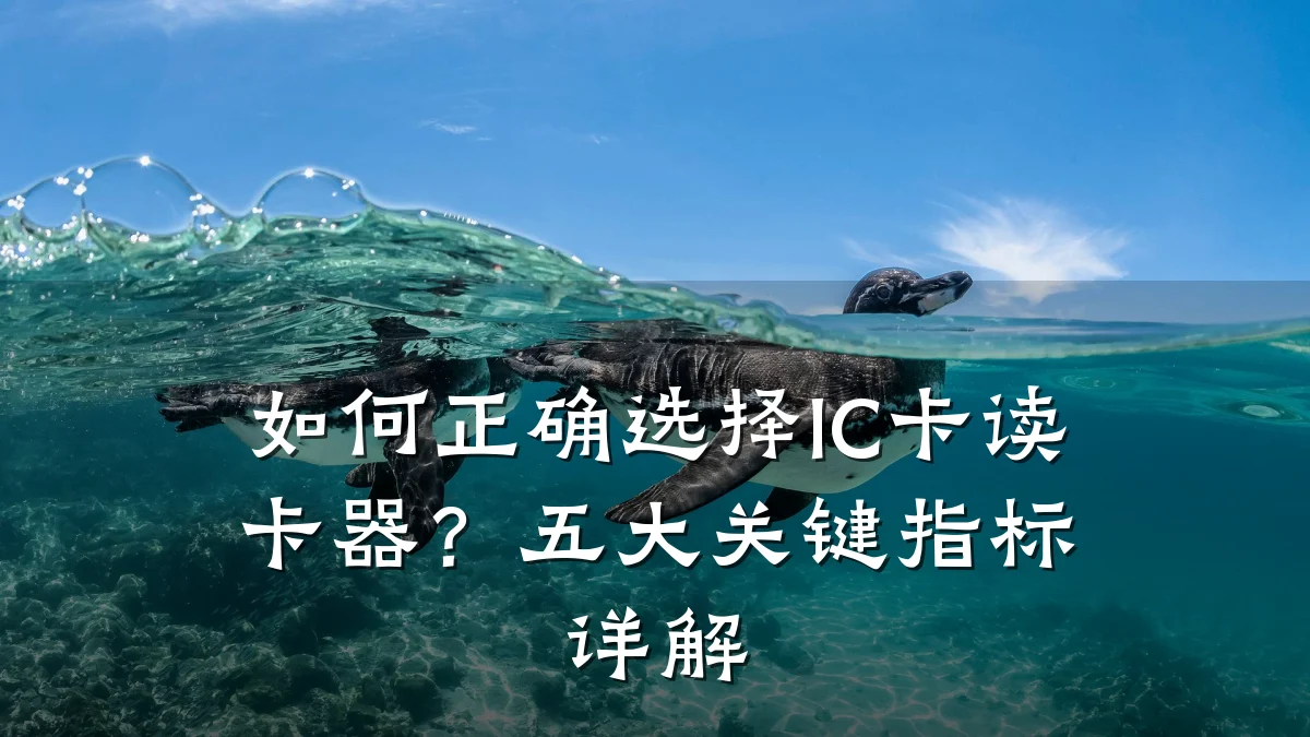 如何正确选择IC卡读卡器?五大关键指标详解