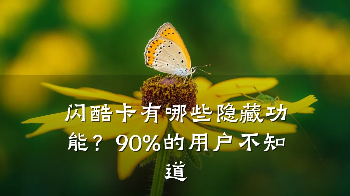 闪酷卡有哪些隐藏功能?90%的用户不知道