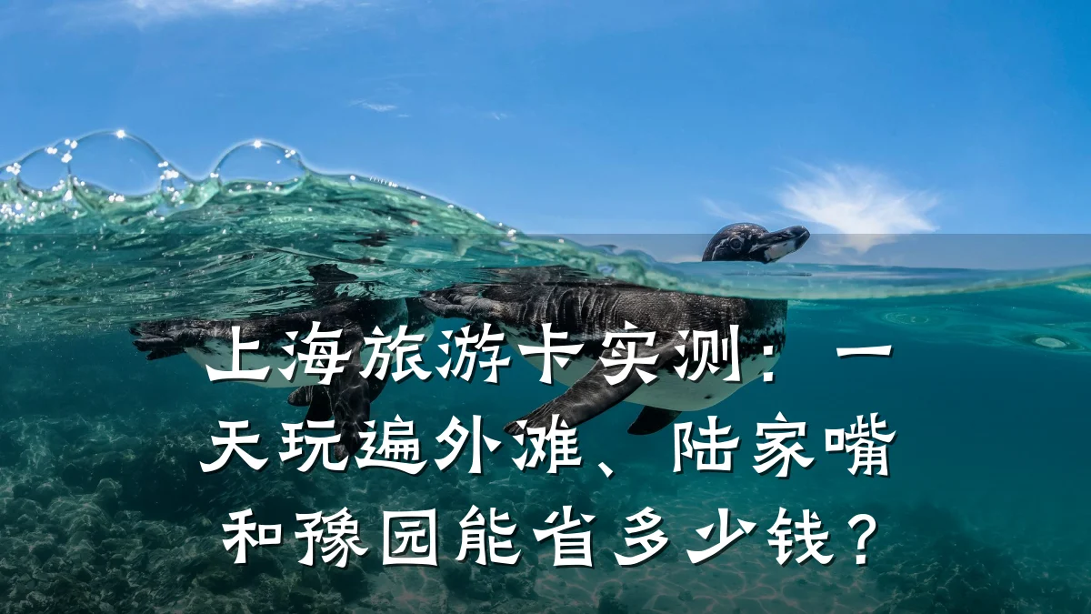 上海旅游卡实测：一天玩遍外滩、陆家嘴和豫园能省多少钱？