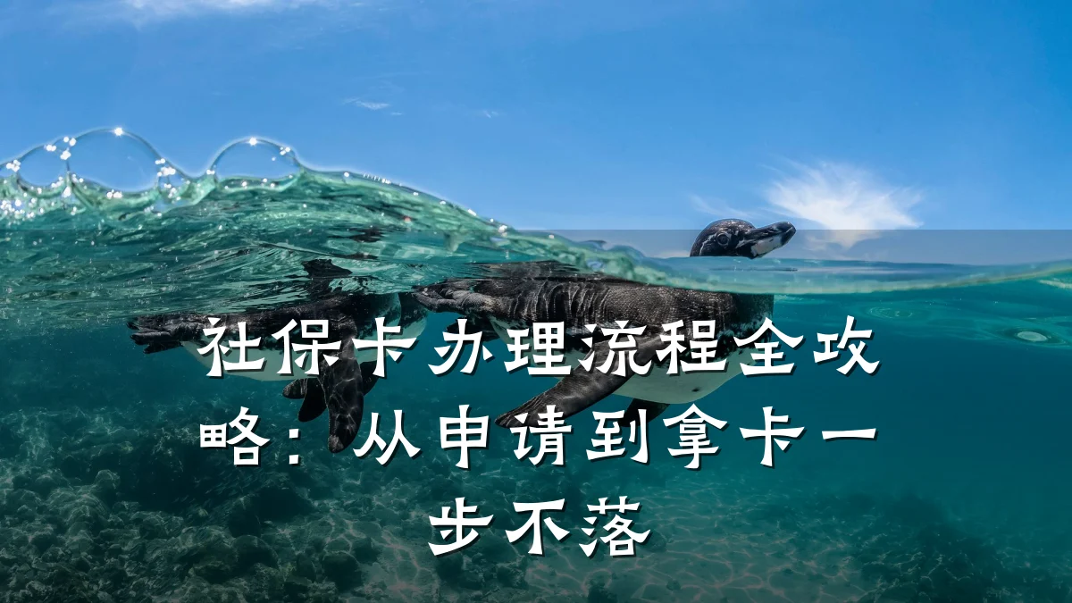 社保卡办理流程全攻略:从申请到拿卡一步不落