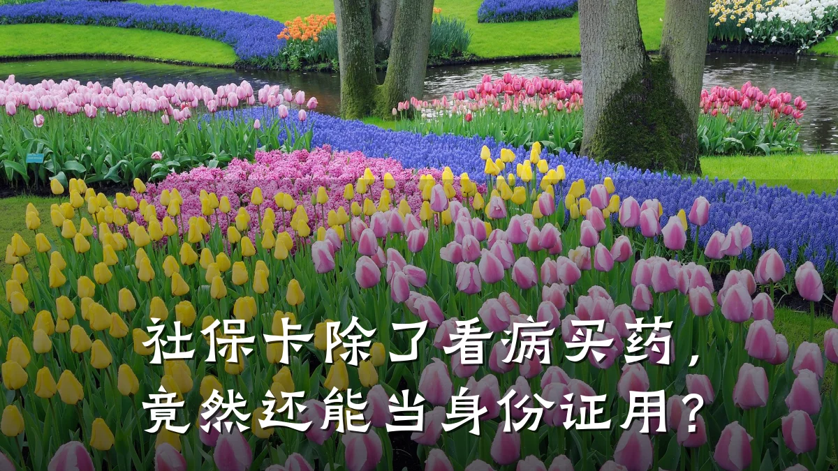 社保卡除了看病买药,竟然还能当身份证用?