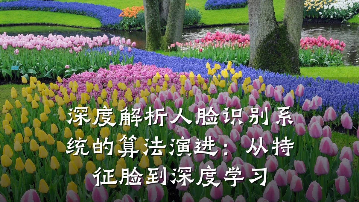 深度解析人脸识别系统的算法演进:从特征脸到深度学习