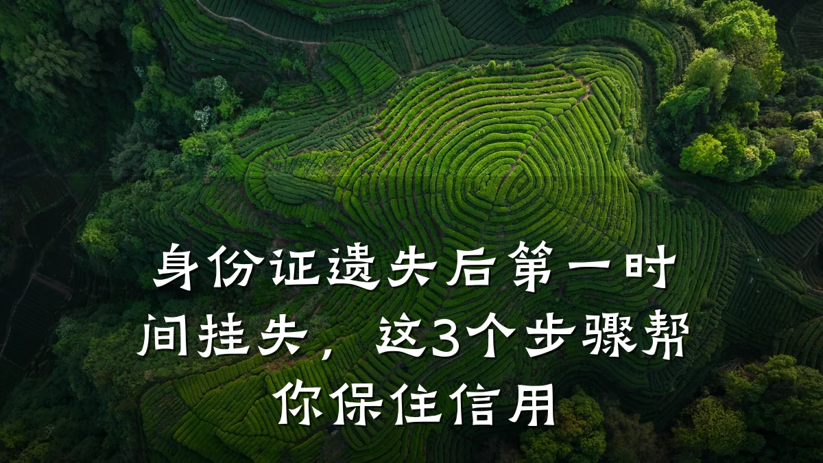 身份证遗失后第一时间挂失,这3个步骤帮你保住信用